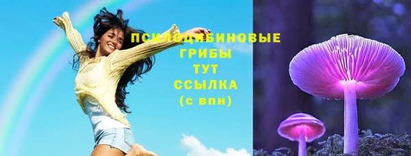 хмурый Алексеевка