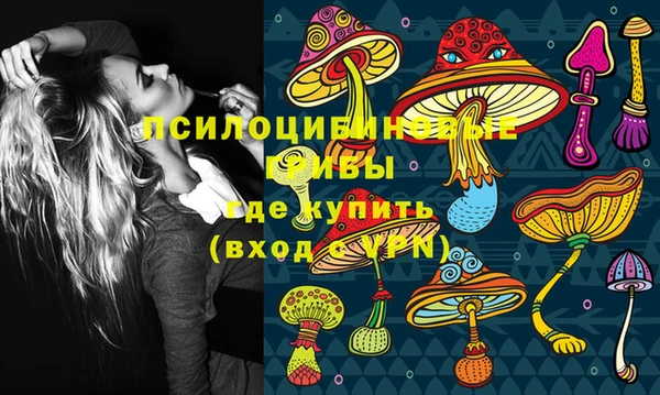 хмурый Алексеевка
