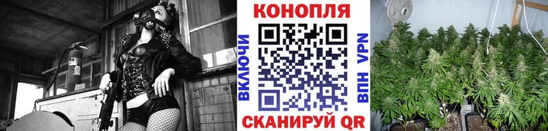 хочу наркоту это формула МАРИХУАНА конопля Волхов